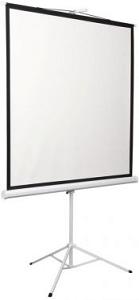 Экран Digis 84" 150x150см Kontur-D DSKD-1103 1:1 напольный рулонный