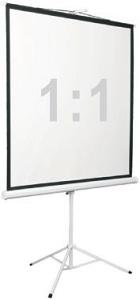 Экран Digis 100" 180x180см Kontur-D DSKD-1105 1:1 напольный рулонный