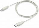 Кабель Buro USB A(m) USB B(m) 1.5м (USB-A-B-1.5C) Кабель Buro USB A(m) USB B(m) 1.5м (USB-A-B-1.5C)