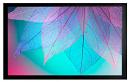 Экран на раме Cactus 124x220см FrameExpert CS-PSFRE-220X124 16:9 настенный натяжной