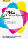 Пленка для ламинирования Silwerhof 100мкм A3 (100шт) глянцевая 426x303мм