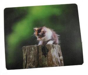 Коврик для мыши шёлковый "Котёнок на пеньке" [SK02]