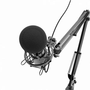 Микрофон проводной Ritmix RDM-180 2.5м черный