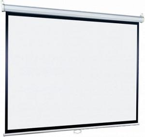 Экран Lumien 180x180см Eco Picture LEP-100108 1:1 настенно-потолочный рулонный